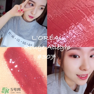 ysl�ڹܴ���407��ŷ������ⴽ��307�ĸ���?